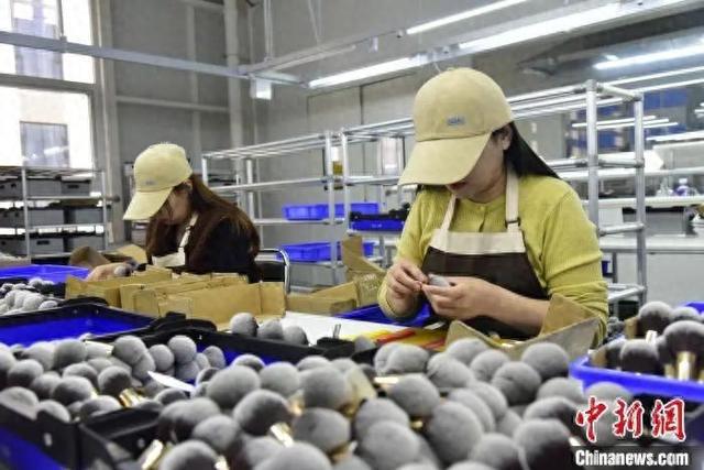 口沧州真有“两把刷子”！mg不朽情缘游戏登录入(图6)
